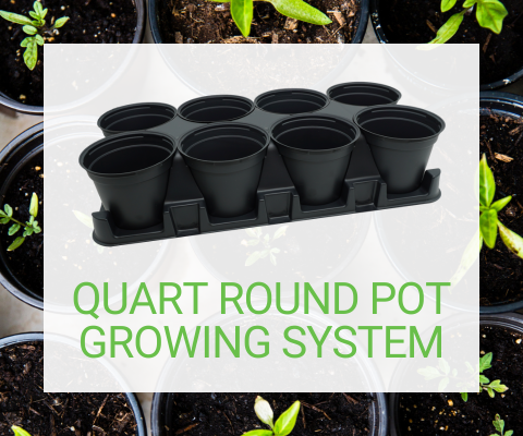 Quart Round Pot Growing System