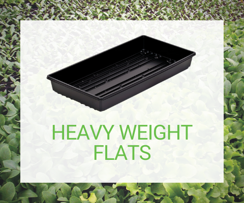 Thermoformed Plastic Plant Trays for Horticulture Product Distributors